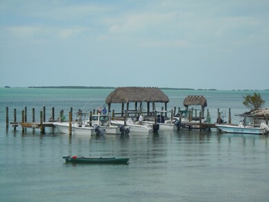 Dock for boats and fishing fun!!