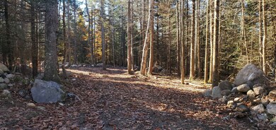 12 Bear Paw Trail unit 1-2, Littleton, NH 03561 - photo 3