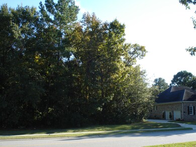 Lot in the Hamlets 013.JPG