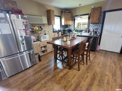 7324 State Route 161 Extension, Iuka, IL 62849 - photo 5