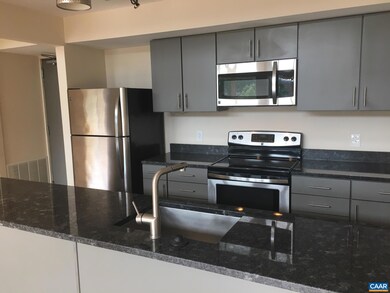 1600 Jefferson Park Ave unit 312, Charlottesville, VA 22903 - photo 2