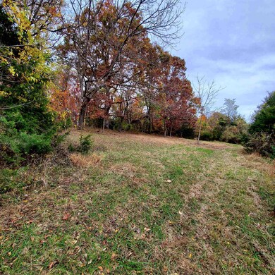 2 CROWN RIDGE Berry Farm Rd, Staunton, VA - photo 4