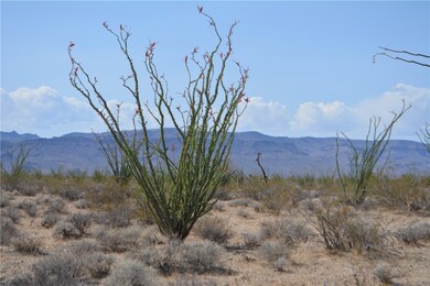 D4 Rose Well Rd, Yucca, AZ 86438 - photo 4