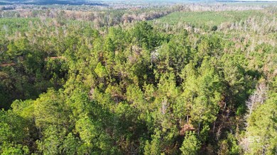 159 Dakota Rd, McKenzie, AL 36456 - photo 6