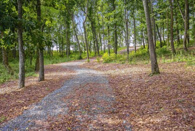 TBD Old B and O Rd, Spottswood, VA 24476 - photo 6