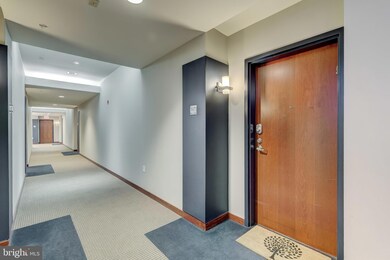 Twelve 09 unit 413, Baltimore, MD 21201 - photo 4