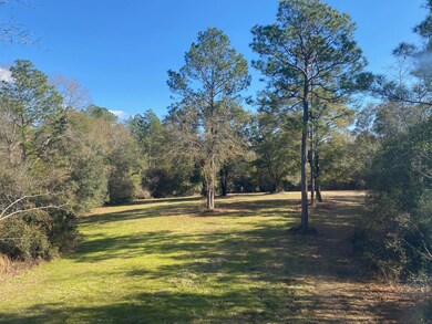 County Road 2- Covington County unit AL, Wing, AL 36483 - photo 7