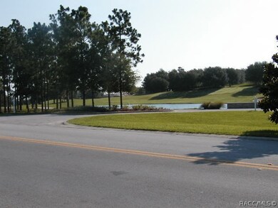 771 E Hartford St, Hernando, FL 34442 - photo 5