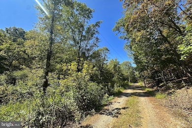 Lots 3 & 4 Shale Pit Dr, Falling Waters, WV 25419 - photo 3