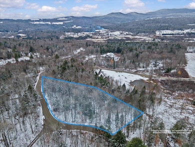 93 White Birch Rd, Morristown, VT 05661 - photo 3