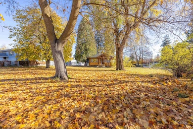 6104 N Stevens St, Spokane, WA 99205 - photo 5