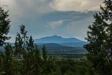 _DSC7952
