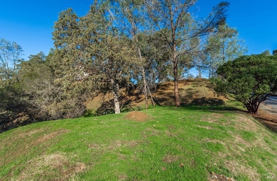 1155 Steele Canyon Rd, Napa, CA 94558 - photo 6