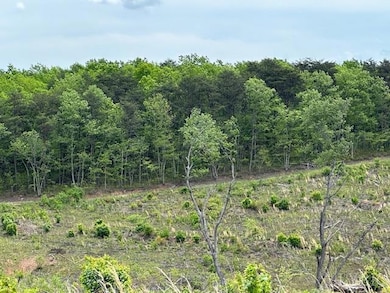 LOT 1 Leesville Rd, Lynch Station, VA 24571 - photo 2