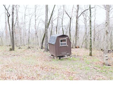 0 Bug Scuffle Rd unit 704270, West Fork, AR 72774 - photo 5