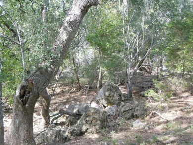 8300 Ranch Rd, San Marcos, TX 78666 - photo 5