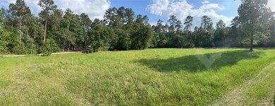 31111 Sugar Bend Dr, Magnolia, TX 77355 - photo 4