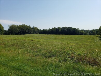 593 Howard Gilliland Rd, Siler City, NC 27344 - photo 2