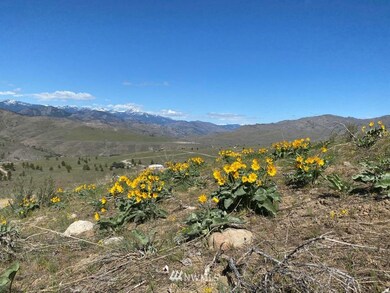 0 NNA Hannah Rd unit 19, Pateros, WA 98846 - photo 7