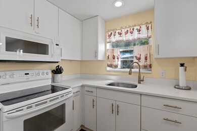 327 Windsor O, West Palm Beach, FL 33417 - photo 5