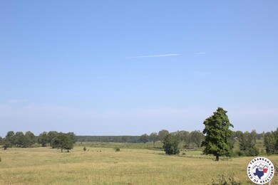 TBD Mc 10 & 268, Fouke, AR 71854 - photo 3