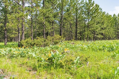 Tbd Quarry Rd, Four Corners, WY 82715 - photo 2