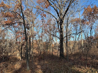 XXX Bootjack Trail, Liberty Township, MO 63559 - photo 3