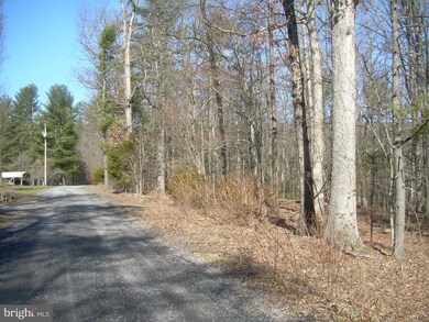 0 Sarah Ln unit 1003456286, Basye, VA 22810 - photo 5