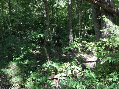 Lt 39-42 Chestnut St, Burnside, KY 42519 - photo 4