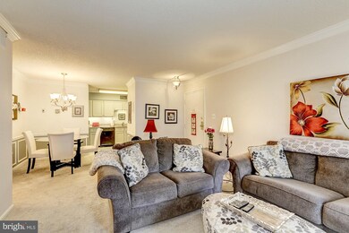 3123 Patrick Henry Dr unit 322, Falls Church, VA 22044 - photo 5