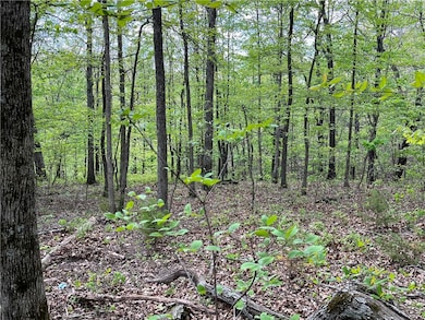 Another view of lot.