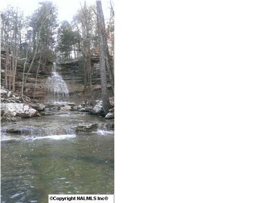 This is a beautiful 50 foot water fall feature - just one of the many great water and trail features that are part of your ammenities here at Coventy, McMullen Cove