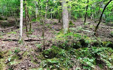 Additional View