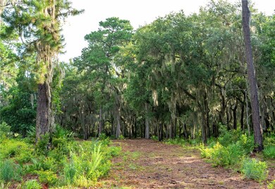 46 Southerland Ln, St. Simons Island, GA 31522 - photo 5