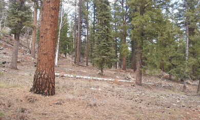 National Forest