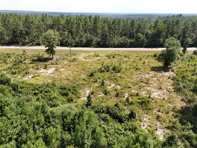 Aerial view of a forest