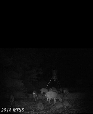 1807 Crocheron Rd, Toddville, MD 21672 - photo 2