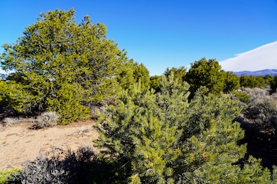 N Melby Ranch Rd, San Luis, CO 81152 - photo 3