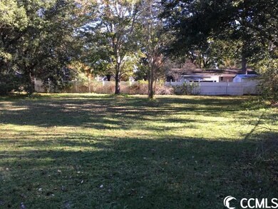 TBD Wren St, Georgetown, SC 29440 - photo 6