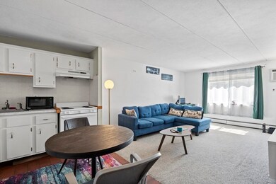 27 Homer Ave unit 25, Cambridge, MA 02138 - photo 3