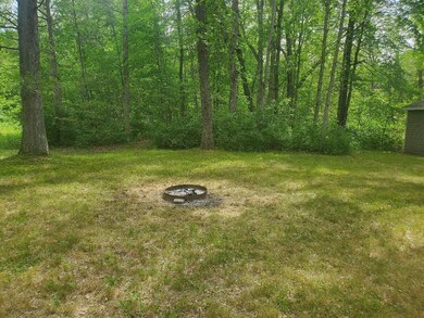 11426 N Bingham Ave, Bitely, MI 49309 - photo 6