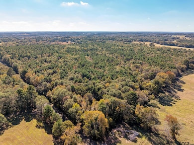 Lot 3 Creek Bend Trail, Troup, TX 75789 - photo 7
