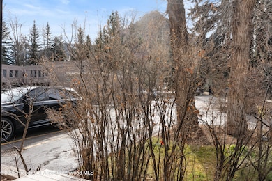 814 W Bleeker St unit C1, Aspen, CO 81611 - photo 6