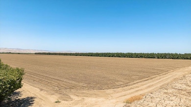 0 Schmidt Rd, Gustine, CA 95322 - photo 7