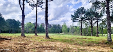 0 Bozeman Rd unit 4115697, Madison, MS 39110 - photo 4