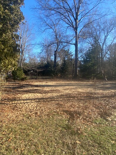 Lot View