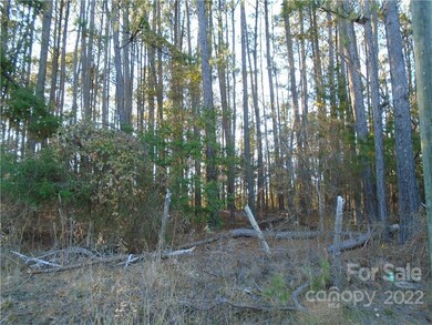 501 Riddle Mill Rd, Clover, SC 29710 - photo 2