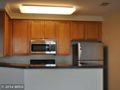 2497 Angeline Dr unit 301, Herndon, VA 20171 - photo 2