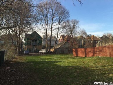 Backyard.
