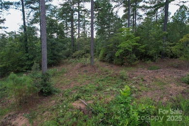 00 Scenic Dr unit 181, Granite Falls, NC 28630 - photo 5